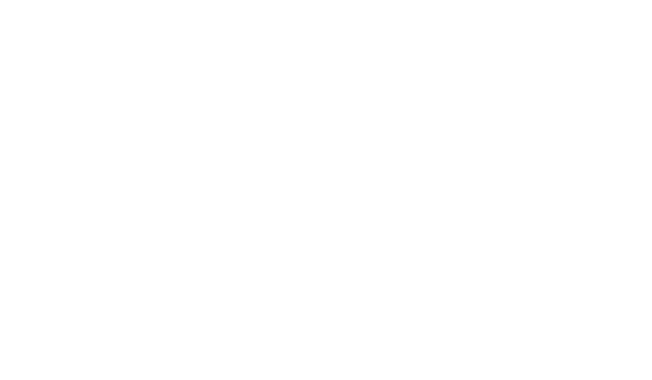 Evolution creative solutions